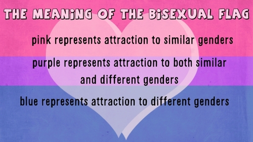 Bisexual Flag and Meaning